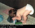 FunPic (11).jpg